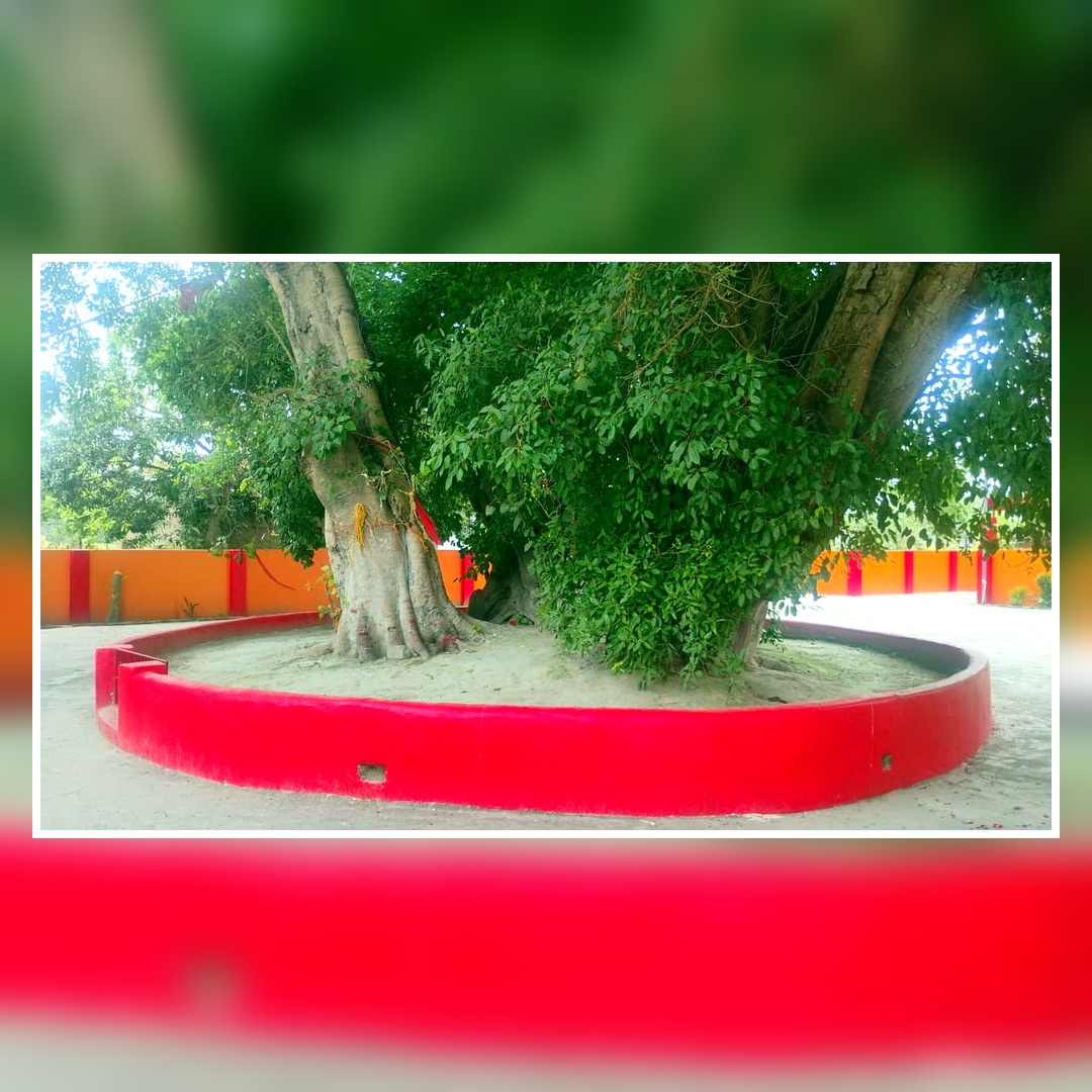 Temple photo 5
