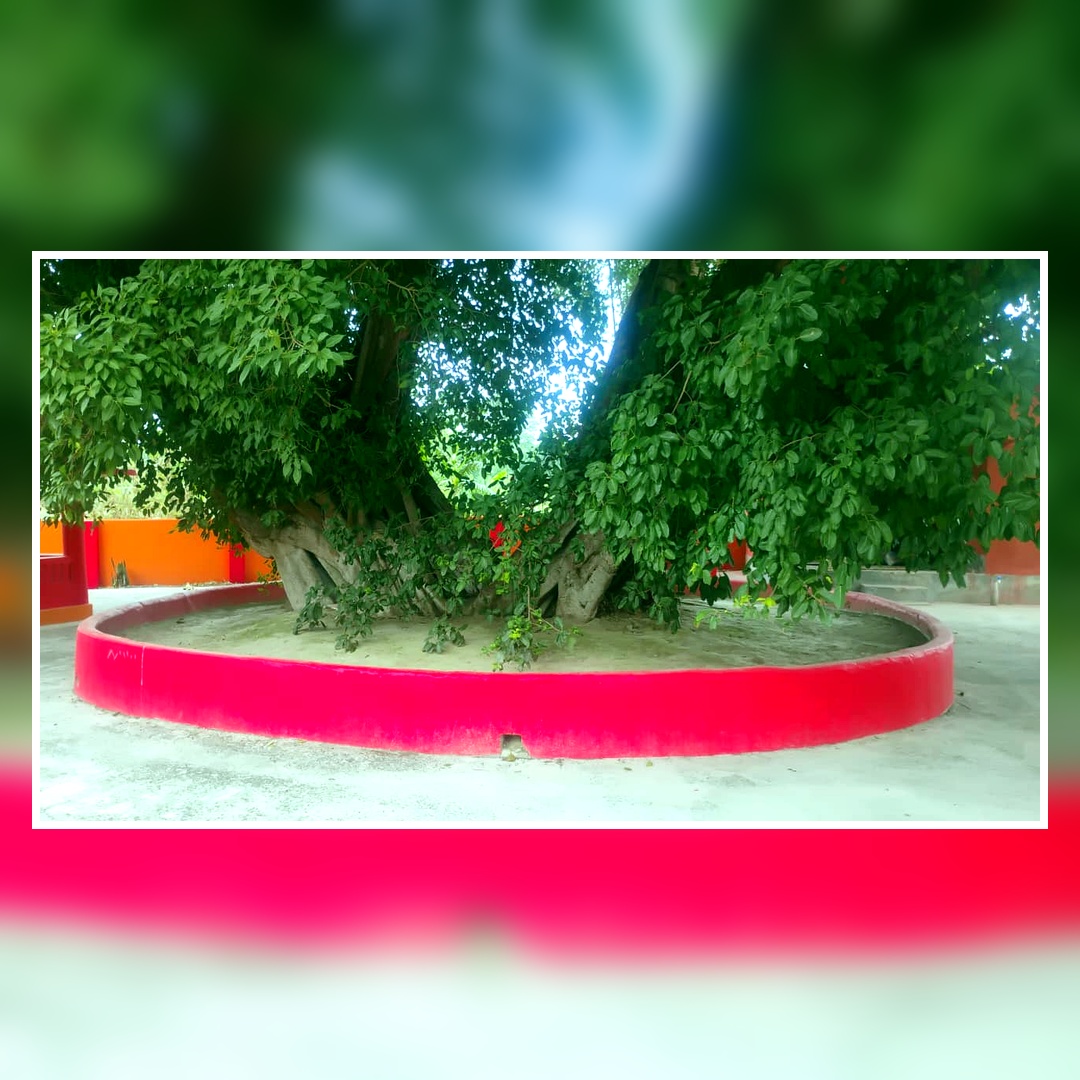 Temple photo 14